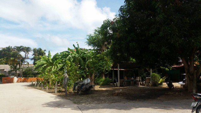 For Sales : Land Rawai, Soi Khokmakham 2 , 91 SQ.W. , Garden View.