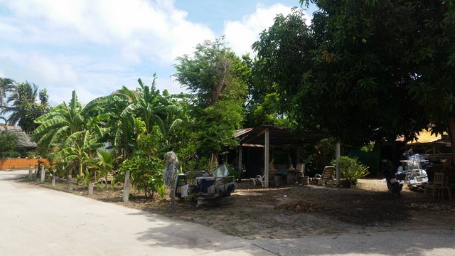 For Sales : Land Rawai, Soi Khokmakham 2 , 91 SQ.W. , Garden View.