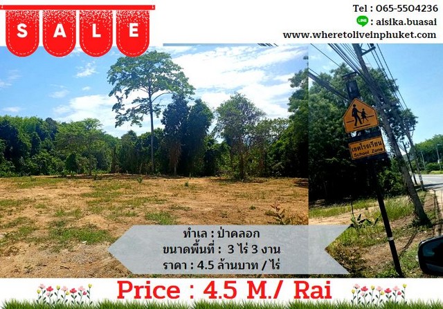 For Sales  :  Land at  Thalang,  Pakhok , 3 Rai 3 Ngan. 4,800 sqm.