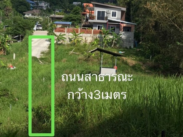 For Sales : Land at Patong, Size 32.5 sqm. Garden View.