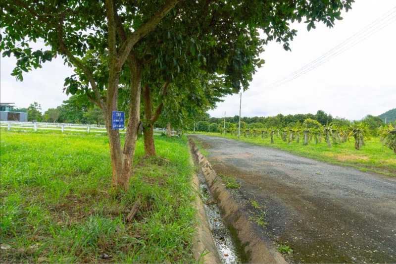 ขายที่ดิน Thongsathit Hill Khaoyai แปลงเลขที่ T415