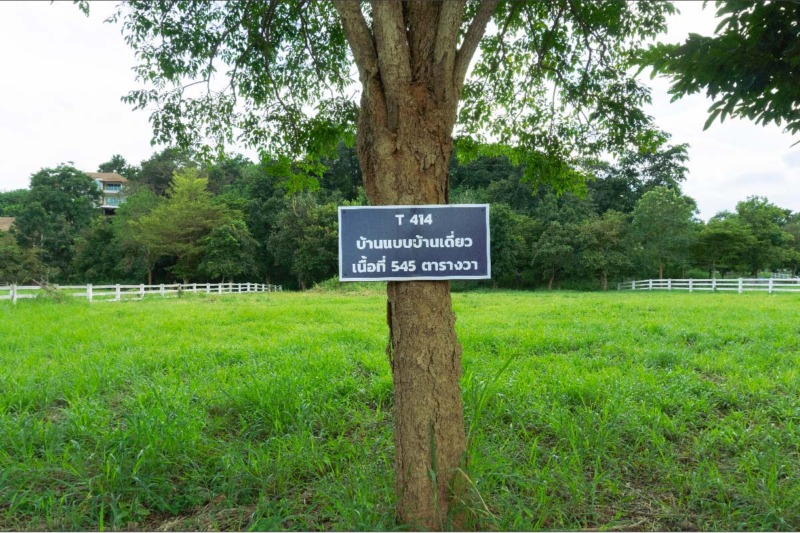 ขายที่ดิน  Thongsathit Hill Khaoyai  ที่ดินบนเนินเขา