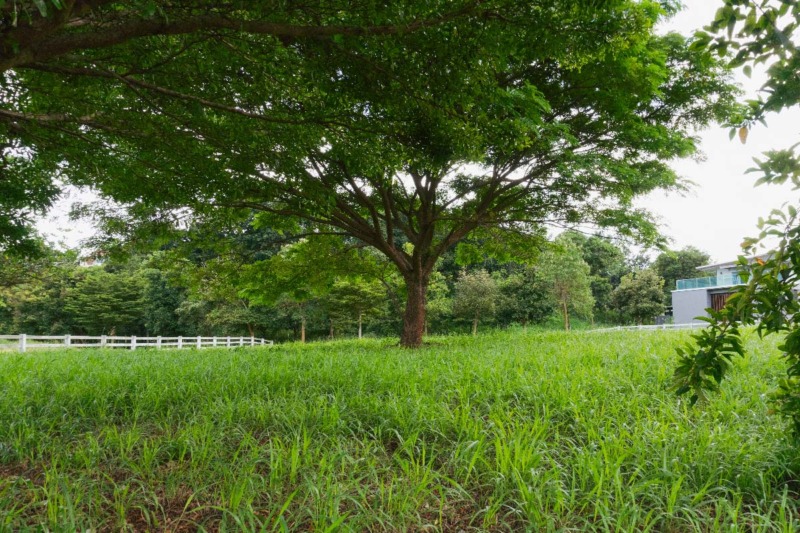 ขายที่ดิน Thongsathit Hill Khaoyai แปลงสวย T413