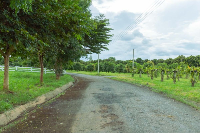 ขายที่ดิน Thongsathit Hill Khaoyai แปลงสวย T413