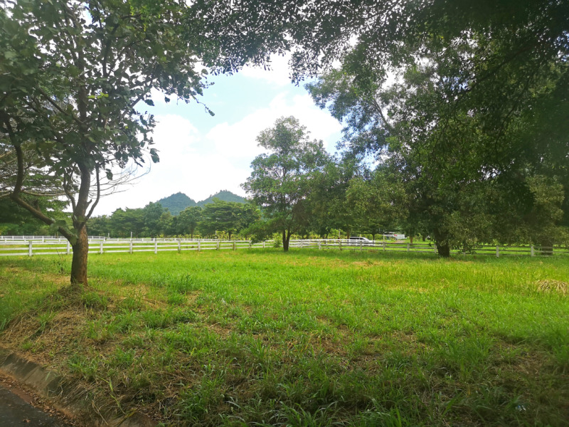 ขายที่ดิน Thongsathit Hill Khaoyai ที่ดินบนเนินเขา แปลงเลขที่ T416