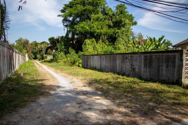 ขายที่ดิน 100วา สุขุมวิท101 ปุณณวิถี ถมแล้ว ราคาถูกมาก