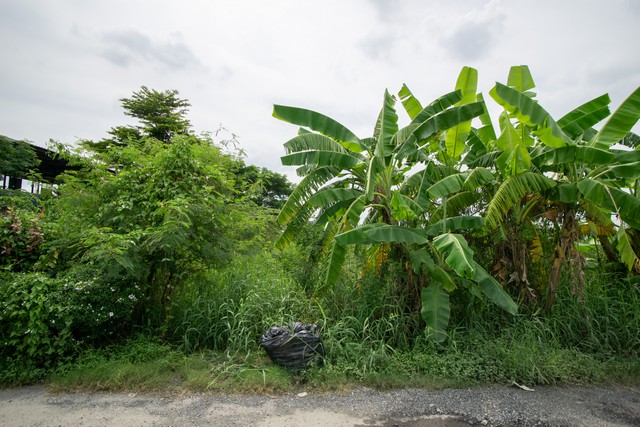 ขาย ที่ดิน สายไหม สุขาภิบาล 5 ซอย 32 ออเงิน กรุงเทพ