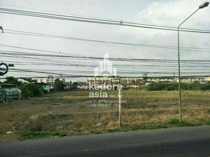 KDR-LD-10-Land for rent  Rental price 250,000 baht/month