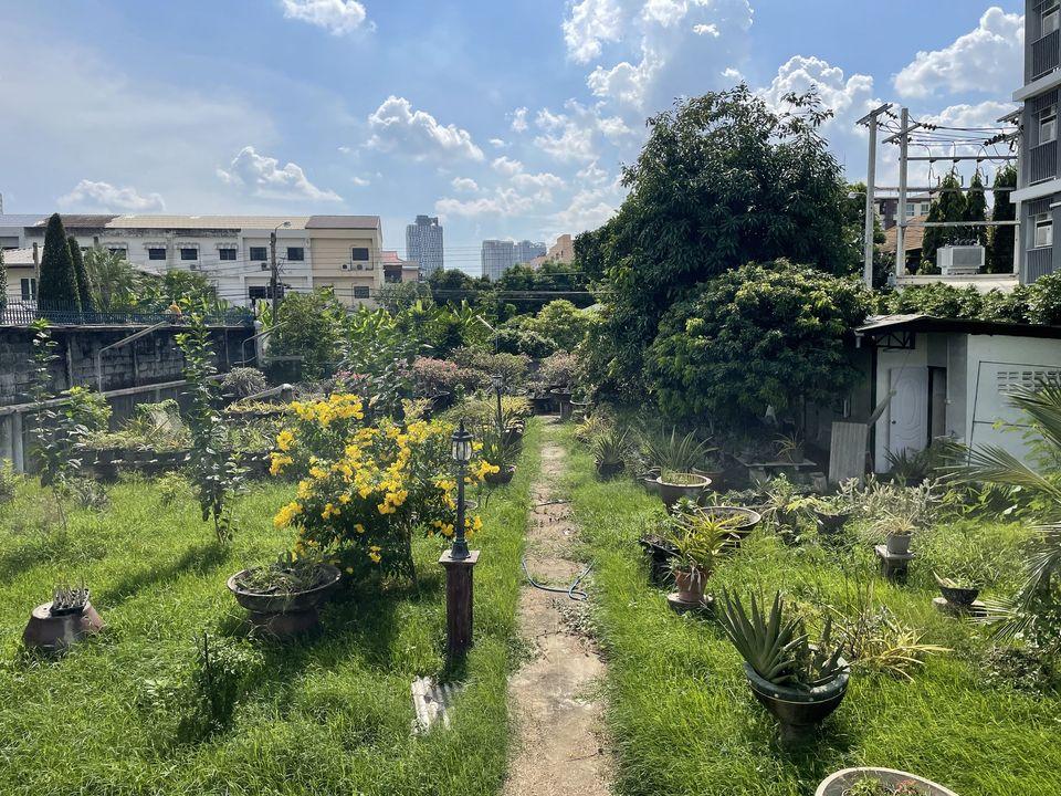 ขายที่ดิน 400ตรว.มีสองแปลง แปลงละ200ตรว  ซอยอ่อนนุช14 สุขุมวิท77 ที่ดินรูปสี่เหลี่ยม