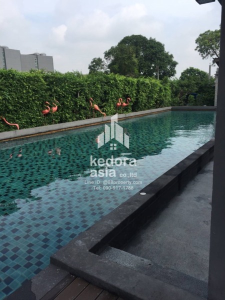 KDR-TH-177-Areeya Mandarina Sukhumvit 77 Rental price 26,000 baht / month