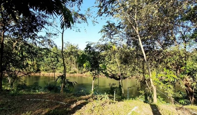 ขายที่ติดน้ำแควน้อย พร้อมสวนต้นไม้ เนื้อที่โฉนด 3 ไร่ 2 งาน 81 ตรว กาญจนบุรี อ.ไทรโยค