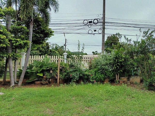 ขายที่ดินพร้อมสิ่งปลูกสร้าง บ้านหลังใหญ่ 1 ชั้น ขนาดที่ดิน 1 ไร่ 30 ตรว.