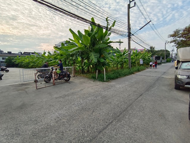 MRTสามแยกมีนบุรี สายชมพูให้เช่าที่ดิน 1 ไร่ มีนบุรี  28×60ม. สีหบุรานุกิจ รพ.เสรีรักษ์ 300 ม.