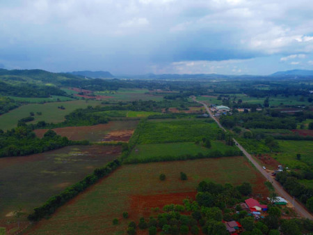 ขาย ที่ดิน  เขาใหญ่ ต.หมูสี อ.ปากช่อง   8.5 ไร่ ถูกที่สุด เหมาะซื้อเก็บ