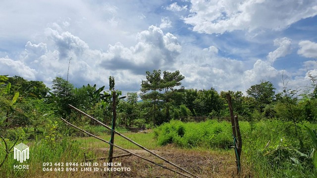 More-034LS ที่ดินหลังสถานีตำรวจภูธรแม่โจ้ ทั้งหมด 3 โฉนด  ตั้งอยู่ที่ ต. หนองหาร อ.สันทราย