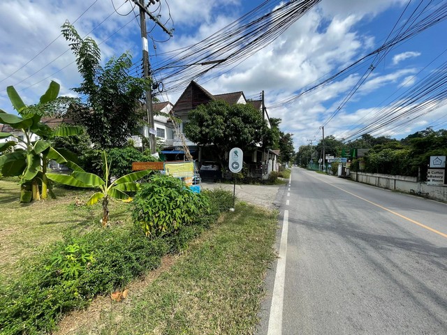 ขายที่ดินทำเลดีตรงข้ามกองพันสัตว์ต่าง ดอนแก้วแม่ริม ถนนสองด้านต้าขายได้