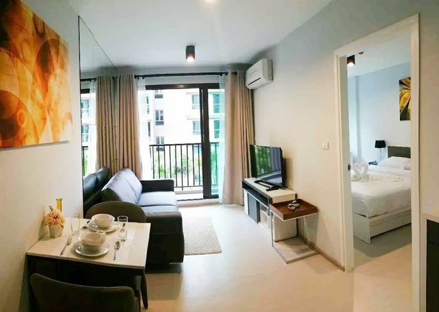 For Sale : Phuket City, Zcape III Condominium Phuket 1 Bedrooms 3rd Flr. Pool View. 33 Sqm.