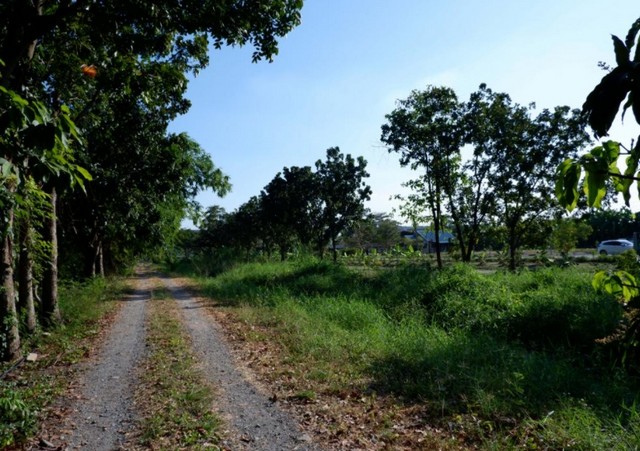 ขายที่ดิน 8 ไร่กว่า ติดถนนรามคำแหง ใกล้สถานีรถไฟฟ้าสายที่ส้ม ทั้งสองฝั่ง ซ้ายและขวา