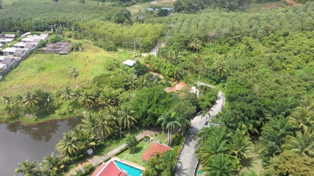 For Sales : Land at Lake, Layan Beach, 6.8 Rai 2,725 SQ.W.