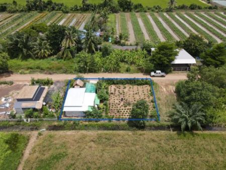 ขาย ที่ดิน พร้อมบ้านสวนเกษตรบ้านสวนเกษตร 100 ตร.วา อยู่ในแหล่งชุมชน ฟรีโอน