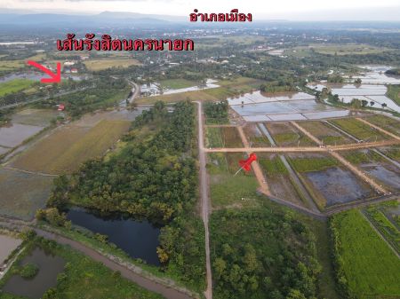 ขาย ที่ดิน วิวธรรมชาติล้อมรอบ สำหรับทำบ้านสวนเกษตรพรหมณี 1 ตร.วา ฟรีค่าโอนค่าภาษี