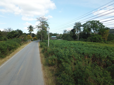 ขาย ที่ดิน เขาใหญ่ ต.ขนงพระ อ.ปากช่อง 18 ไร่ แค่เห็นวิว ก็มีความสุขแล้ว