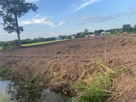 ขาย ที่ดิน ถมแล้ว บ้านปทุม สามโคก ปทุมธานี 3 ไร่ 192 ตร.วา ติดถนนหลังมหาลัยธรรมศาสตร์ปทุมธานี