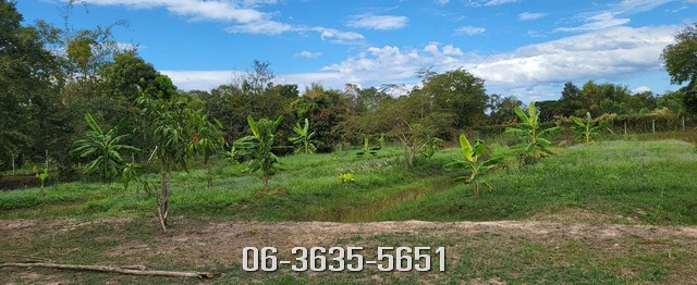 ขายที่สวนเหมาะทำบ้านสวนวัยเกษียน สำหรับสายบุญสายธรรมห่างวัด 500 เมตร ต.เกาะโพธิ์ อ.ปากพลี จ.นครนายก