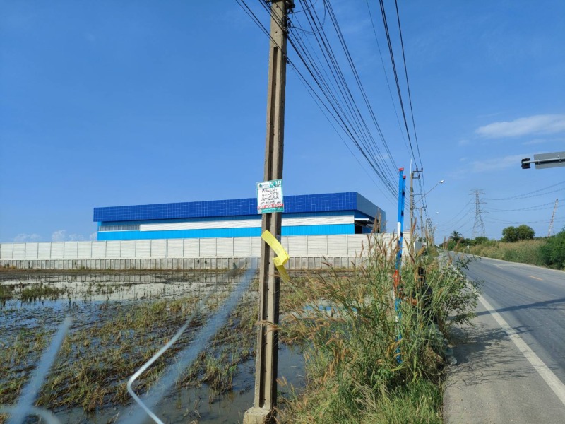 ขายที่ดินเปล่า ซอยวัดสโมสร อำเภอไทรน้อย จังหวัดนนทบุรี