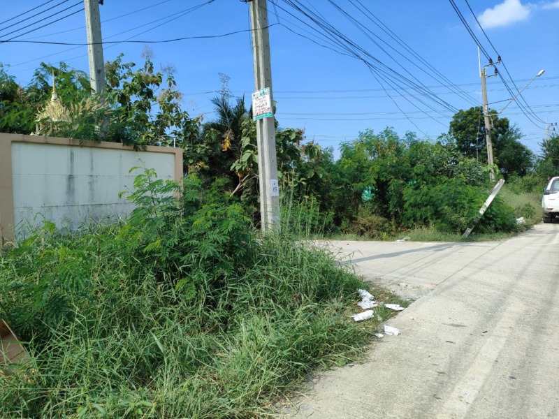 ขายที่ดินเปล่า ซอยวัดสโมสร อำเภอไทรน้อย จังหวัดนนทบุรี