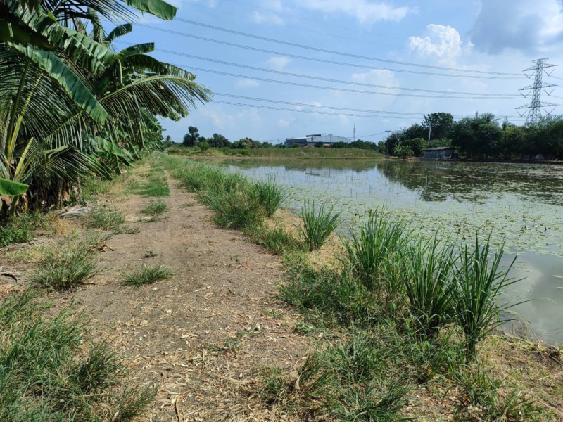 ขายที่ดินเปล่า ซอยวัดสโมสร อำเภอไทรน้อย จังหวัดนนทบุรี