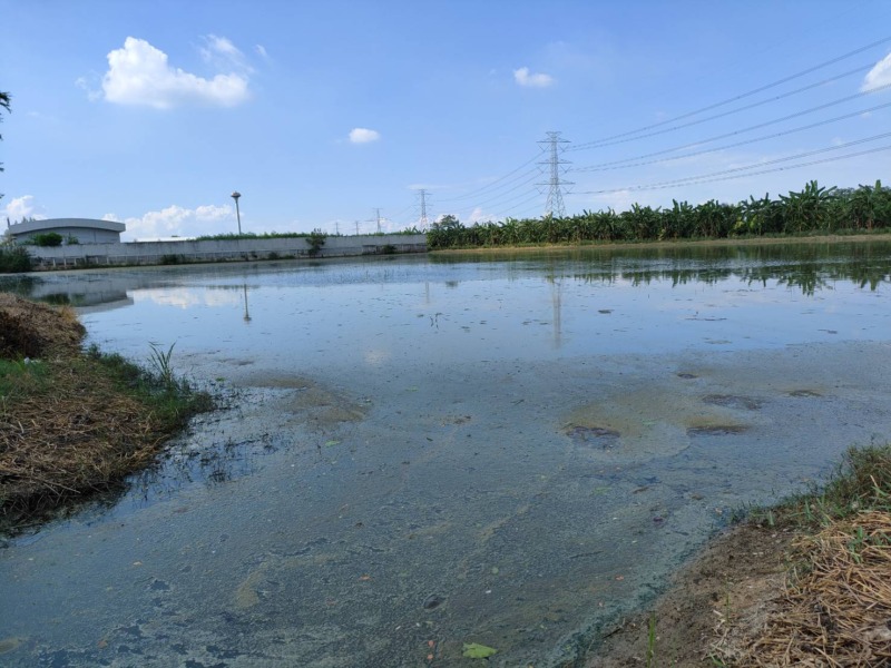 ขายที่ดินเปล่า ซอยวัดสโมสร อำเภอไทรน้อย จังหวัดนนทบุรี