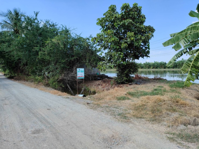 ขายที่ดินเปล่า ซอยวัดสโมสร อำเภอไทรน้อย จังหวัดนนทบุรี