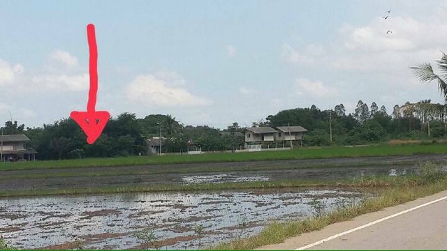 ขายที่ดินโฉนดครุฑแดงราคาถูก สามชุก จังหวัดสุพรรณบุรี