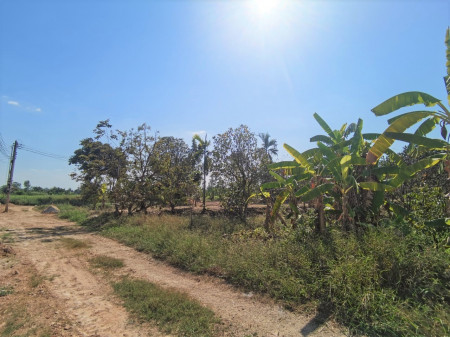ขาย ที่ดิน ME111 ไร่หลักทอง เขตเทศบาลพนัสนิคม ชลบุรี เหมาะทำบ้านสวน การเกษตร ขนาด 2 ไร่ ห่างจากถนนศุขประยูร เพียง 3.5 กม.