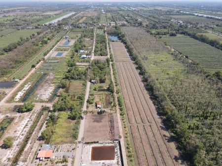 ขาย ที่ดิน แบ่งขายที่ดิน น้ำไฟพร้อมคลอง 11 100 ตร.วา ที่ดินหน้ากว้างติดถนนสาธารณะ 12.5 เมตร ลึก 30 เมตร