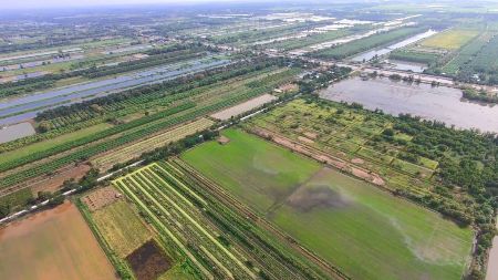 ขาย ที่ดิน น้ำไฟไม่ไกลติดถนนคอนกรีตคลอง 13 100 ตร.วา เหมาะสำหรับสร้างที่พักที่อยู่อาศัย บ้านพักตากอากาศ