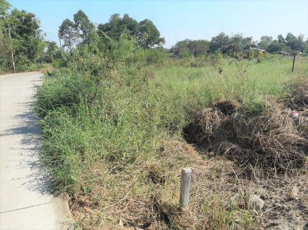 ขาย ที่ดิน ME113 ไร่หลักทอง เขตเทศบาลพนัสนิคม ชลบุรี เหมาะทำบ้านสวน การเกษตร ขนาด 83 ตร.วา ห่างจากถนนศุขประยูร เพียง 2 กม..