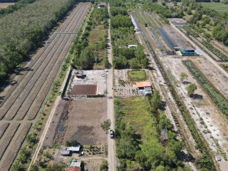 ขาย ที่ดิน แบ่งขายที่ดิน น้ำไฟพร้อมคลอง 11 100 ตร.วา ที่ดินหน้ากว้างติดถนนสาธารณะ 12.5 เมตร ลึก 30 เมตร