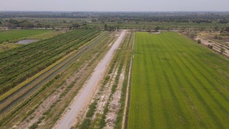 ขาย ที่ดิน น้ำไฟไม่ไกลติดถนนคอนกรีตคลอง 13 100 ตร.วา เหมาะสำหรับสร้างที่พักที่อยู่อาศัย บ้านพักตากอากาศ