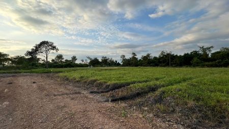 ขาย ที่ดิน วิวธรรมชาติล้อมรอบ สำหรับทำบ้านสวนเกษตรพรหมณี 1 ตร.วา ฟรีค่าโอนค่าภาษี