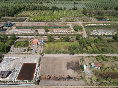 ขาย ที่ดิน แบ่งขายที่ดิน น้ำไฟพร้อมคลอง 11 100 ตร.วา ที่ดินหน้ากว้างติดถนนสาธารณะ 12.5 เมตร ลึก 30 เมตร