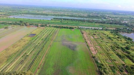 ขาย ที่ดิน น้ำไฟไม่ไกลติดถนนคอนกรีตคลอง 13 100 ตร.วา เหมาะสำหรับสร้างที่พักที่อยู่อาศัย บ้านพักตากอากาศ