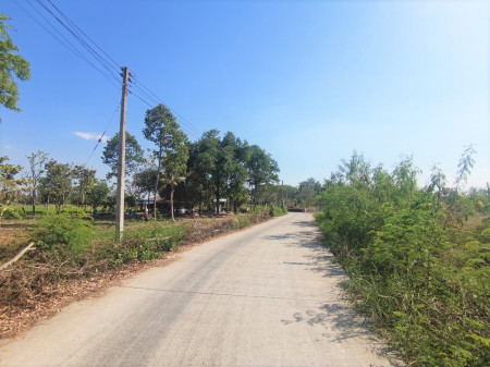 ขาย ที่ดิน ME113 ไร่หลักทอง เขตเทศบาลพนัสนิคม ชลบุรี เหมาะทำบ้านสวน การเกษตร ขนาด 83 ตร.วา ห่างจากถนนศุขประยูร เพียง 2 กม..