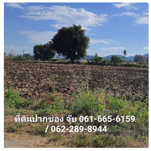 ขายที่ดินปากช่อง ห่างจากถนนธนะรัชต์ 1.7 กม. 5-3-55.3 ไร่ น้ำไม่ท่วม (ราคาถูกสุดในโซนเดียวกัน)