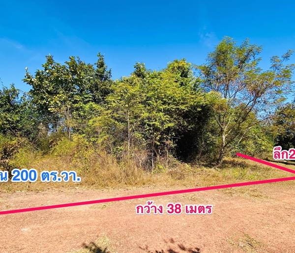 ขายที่ดินเปล่า 218.7 ตร.วา ใน ซ.โรงเรียนสอนขับรถ มุกดาหาร ราคาถูกมาก