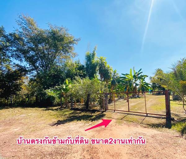 ขายที่ดินเปล่า 218.7 ตร.วา ใน ซ.โรงเรียนสอนขับรถ มุกดาหาร ราคาถูกมาก