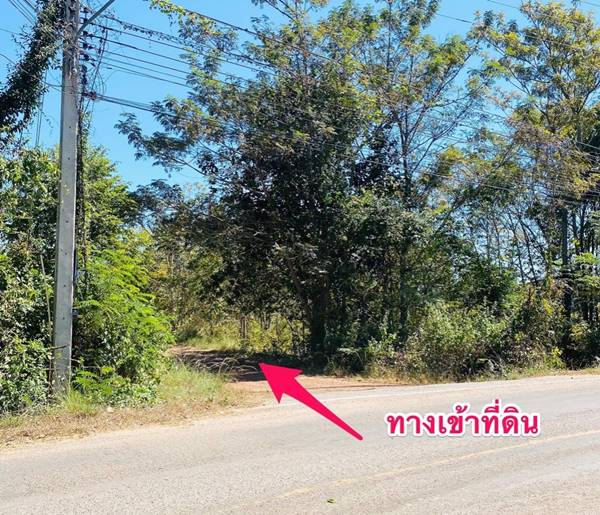 ขายที่ดินเปล่า 218.7 ตร.วา ใน ซ.โรงเรียนสอนขับรถ มุกดาหาร ราคาถูกมาก