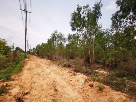 ขาย ที่ดิน ใกล้มอเตอร์เวย์ แหลมฉบังปราจีน ขายที่ดิน จ.ฉะเชิงเทรา อ.พนมสารคาม เกาะขนุน 21 ไร่ 2 งาน 21 ตร.วา