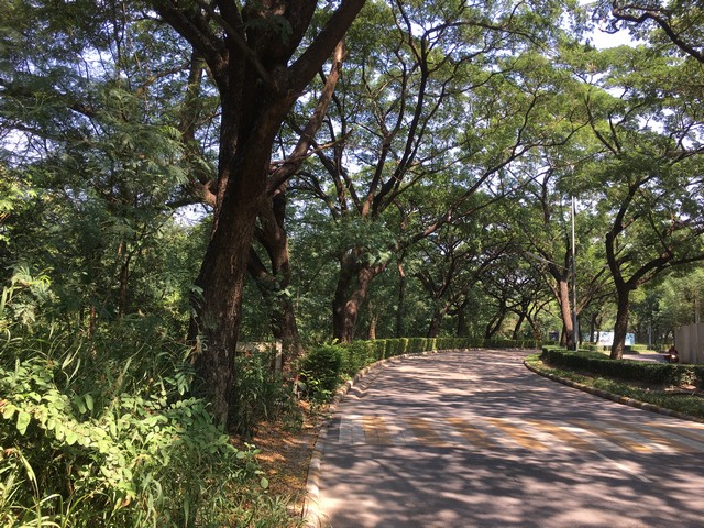 ขายที่ดินในสนามกอล์ฟ The Legacy Golf Club ติดซาฟารีเวิลด์  240 ตร.ว. ติดถนนโครงการ